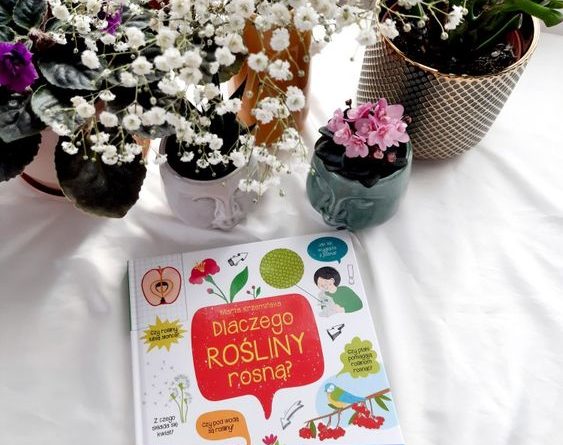 Co i jak? Dlaczego rośliny rosną